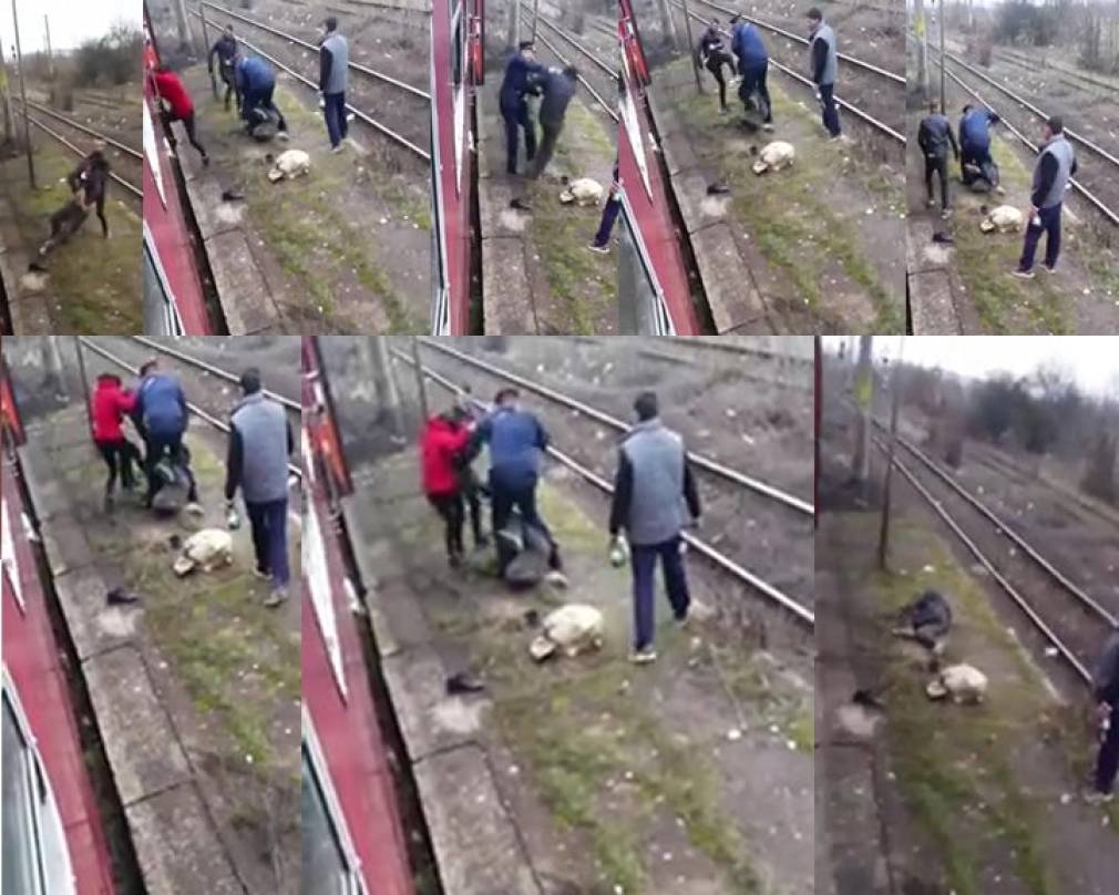 Video: Scandalagiu bătut de controlor și călători